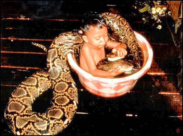 snakebath.jpg